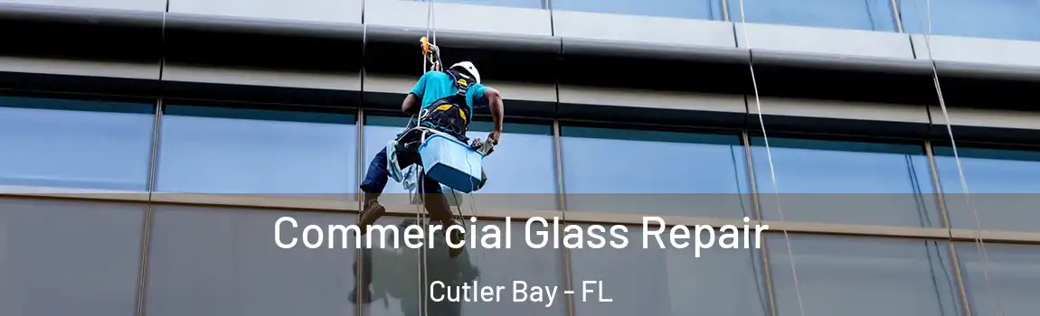  Commercial Glass Repair Cutler Bay - FL