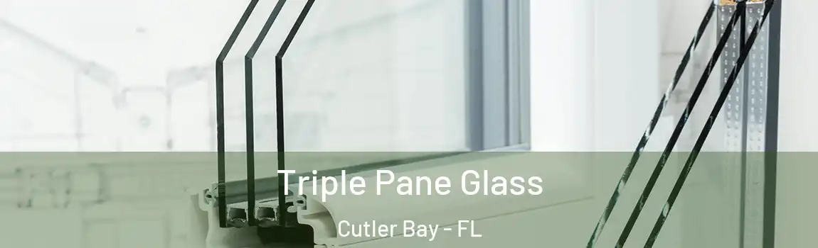  Triple Pane Glass Cutler Bay - FL